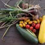 Freshly harvested onions, carrots, tomatoes and squash from a home vegetable garden