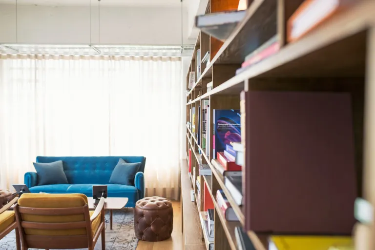 Bright, uncluttered living room with a blue sofa and neatly organized bookshelves