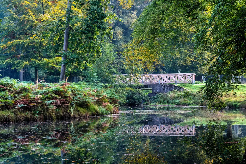 Calm forest pond with a white wooden footbridge and early autumn trees