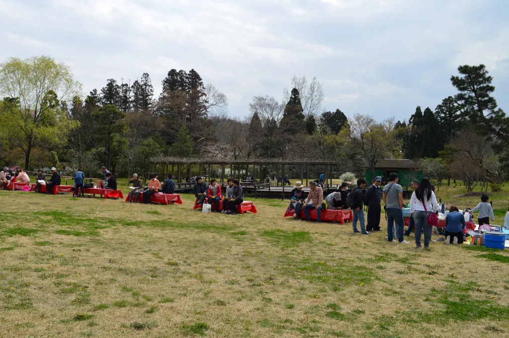 Groups of people enjoying picnics together on the grass in a spring park