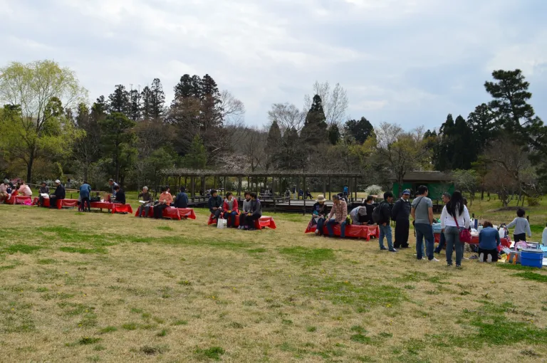 Groups of people enjoying picnics together on the grass in a spring park