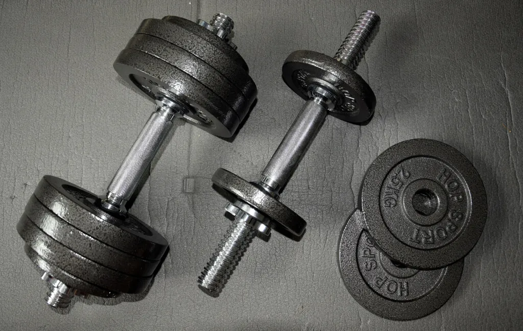 Pair of adjustable iron dumbbells with weight plates on a gray floor