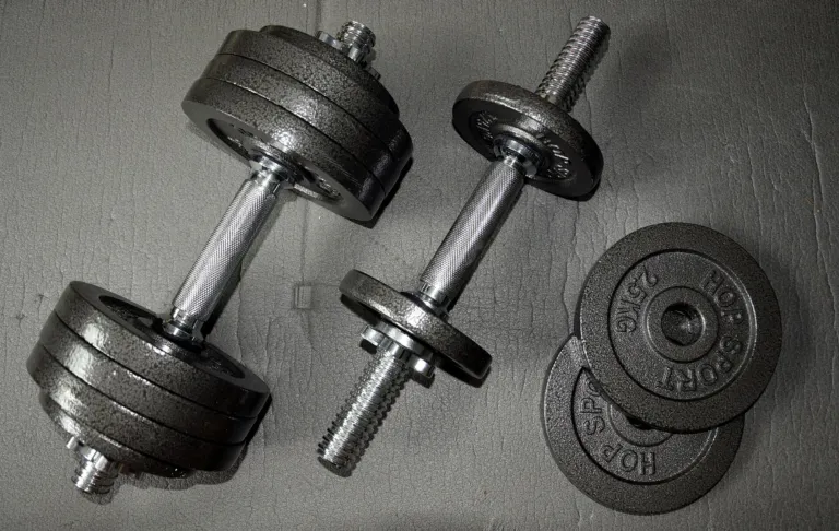 Pair of adjustable iron dumbbells with weight plates on a gray floor