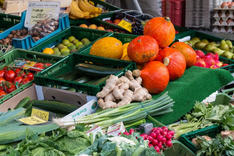Pumpkins, ginger, radishes and fresh vegetables in crates at a farmers market