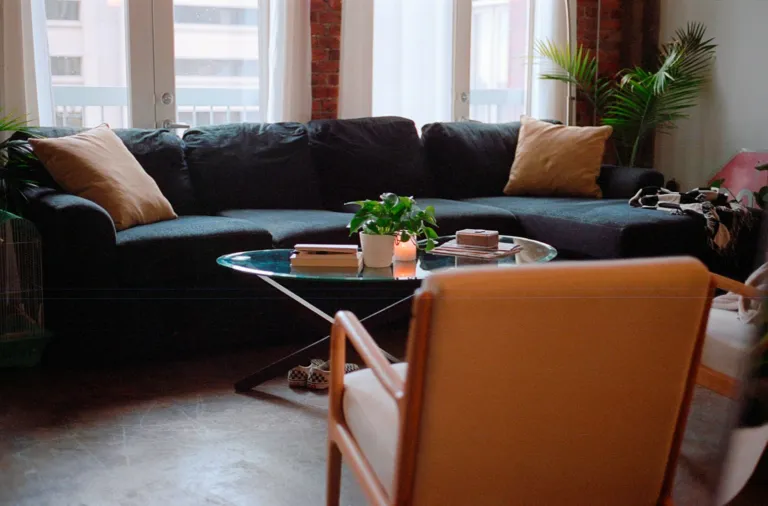 Cozy apartment living room with a couch, chair, table and potted plant